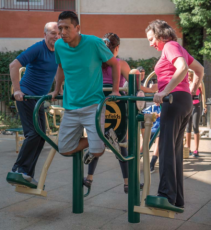 4 person ab and dip pendulum