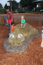 Play By Design: Custom Designed Community Built Playgrounds
